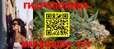 прущие крисы Кунгур