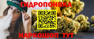 индика Кулебаки
