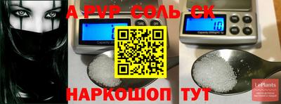индика Кулебаки