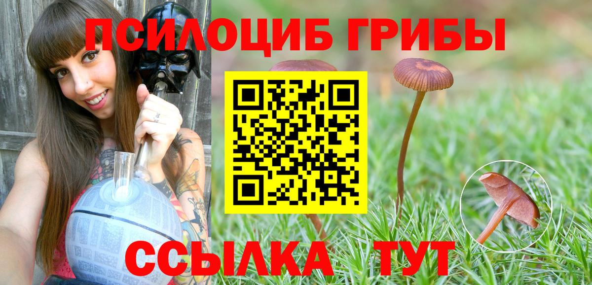 Галлюциногенные грибы Psilocybine cubensis Касимов
